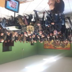 BAIANO. Parla il presidente dellAssociazione Baiano in Movimento, Santaniello, entusiasta per il successo ottenuto domenica con Fuori dal Guscio