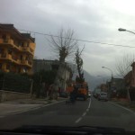  SPERONE. E il giorno dedicato a SantElia Profeta. FOTO