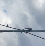 AVELLA. Pubblica illuminazione pericolante in via Francesco De Sanctis. FOTO