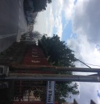 AVELLA. Pubblica illuminazione pericolante in via Francesco De Sanctis. FOTO