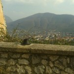 Monteforte Irpino   Vandali in azione presso la chiesa di San Martino. FOTO