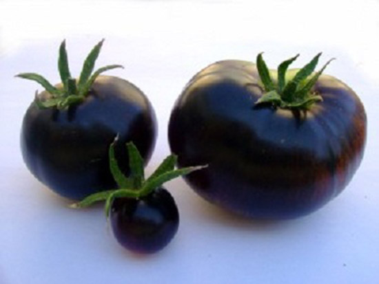 Pomodoro