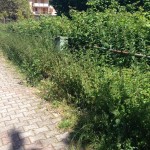 Lettera aperta di un cittadino al sindaco di Monteforte Irpino . Foto