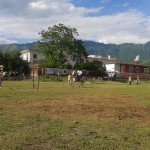 AVELLA. Cavalca con Noi, protagonista il Cavallo grazie allassociazione Le Ali della Vita. Foto