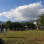 AVELLA. Cavalca con Noi, protagonista il Cavallo grazie allassociazione Le Ali della Vita. Foto