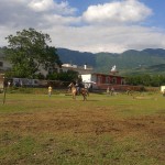 AVELLA. Cavalca con Noi, protagonista il Cavallo grazie allassociazione Le Ali della Vita. Foto