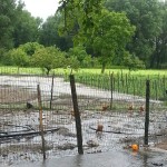 IRPINIA. Alluvione a San Martino Valle Caudina. Foto e Video