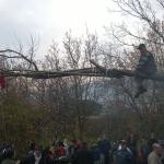 BAIANO. MAIO 2014, le foto della festa