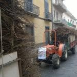 BAIANO. Stamattina per il centro la sfilata dei Sarcinielli. Foto
