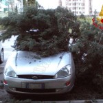 Forte vento, i Vigili del Fuoco in azioni in tutta la provincia