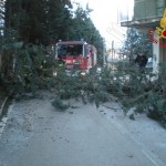 Forte vento, i Vigili del Fuoco in azioni in tutta la provincia