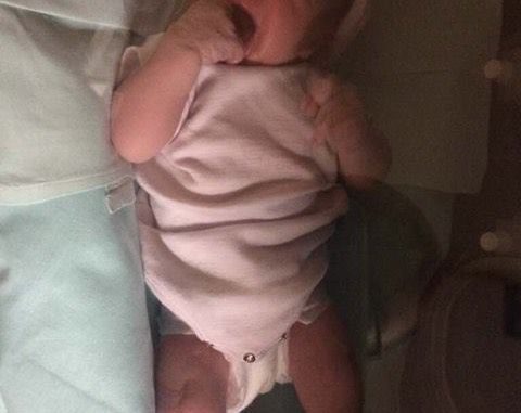 16808401_1358932164149651_1226687803_n