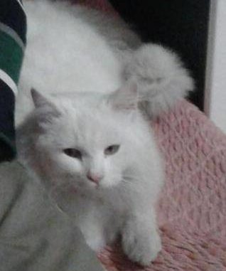 17274175_1560310977330598_844679433_n