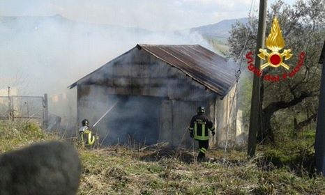 17506575_1393096050733262_414868158_n