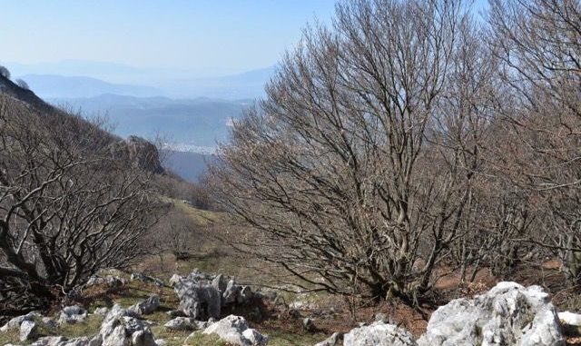 parco partenio Avella