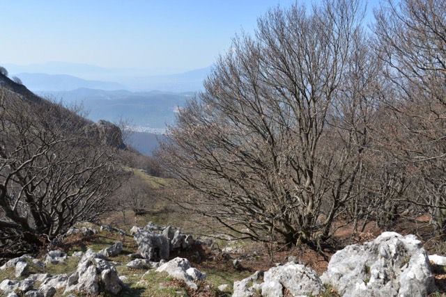 Ente Parco Regionale del Partenio Istituzione Forum del Partenio