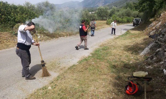 18425885_1447127118663488_2087029896_n