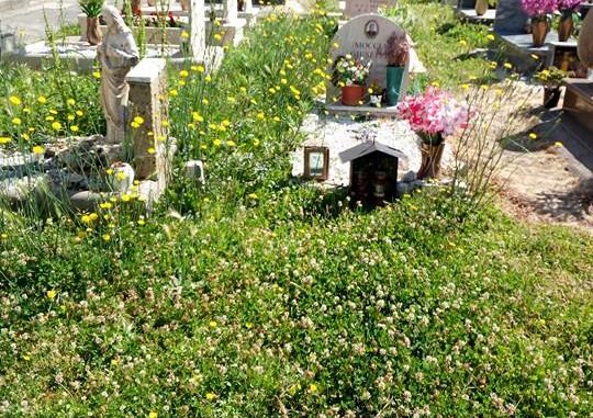 18492408_1893126514237106_1331524223_n