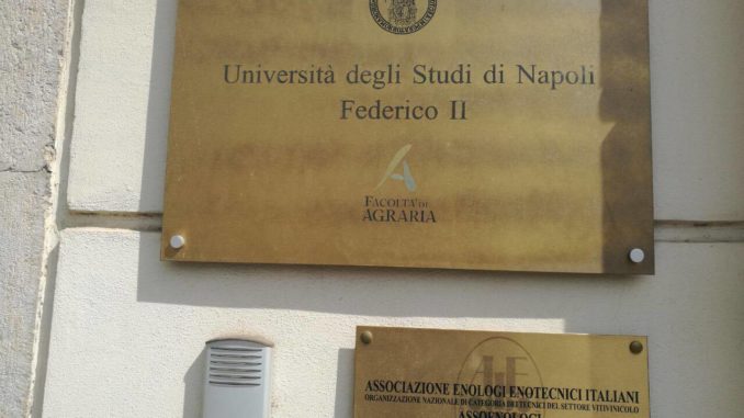 18575345_10213077904211576_1993631771_o