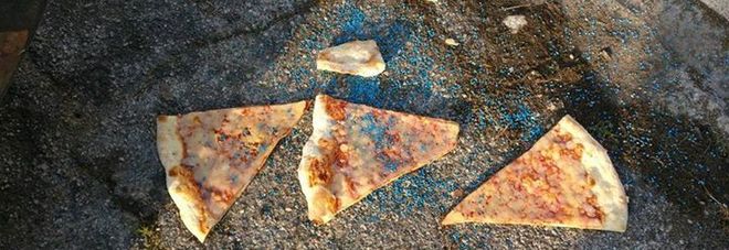 2460448_1534_veleno.jpg.pagespeed.ce.fhstj7g0cc (1)