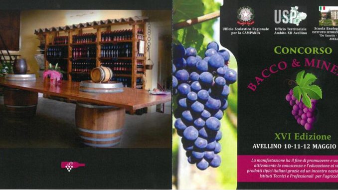 Pubblicazione1