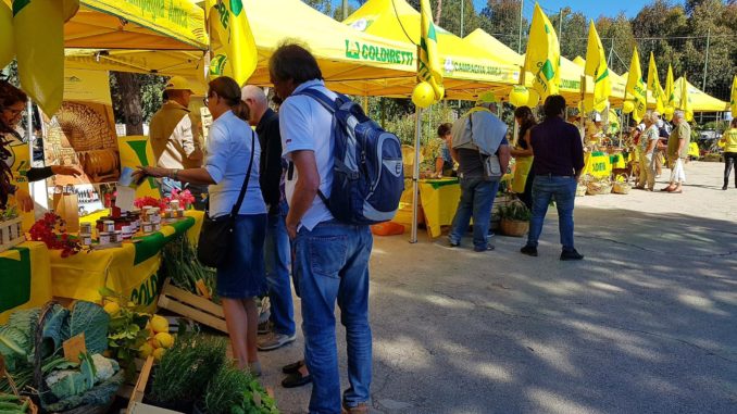 campagna amica ischia (2)