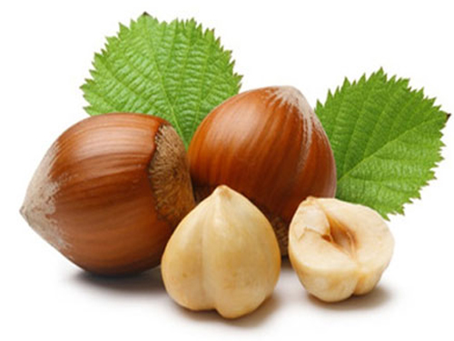 nocciole-trilobate-sgusciate-tonda-gentile_0