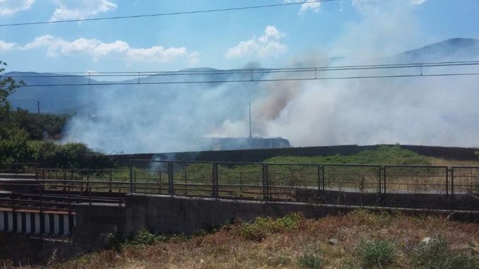 19141840_10211473189099188_1664867776_n