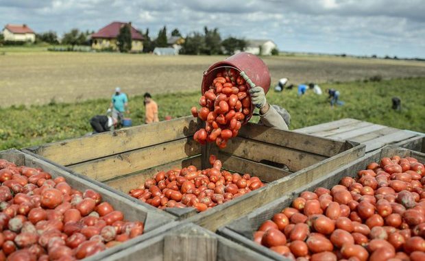 d573332edd48e7bfce4d9a5d81af3756