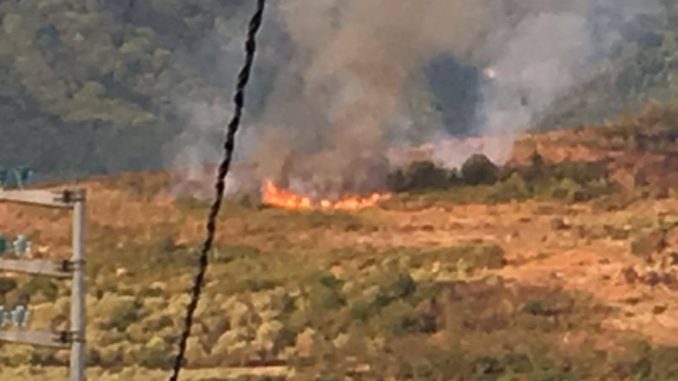 19858941_126752701258630_1228940099_o (1)