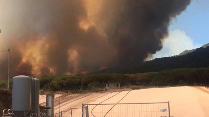 19893753_1506662572709942_1314880438_o