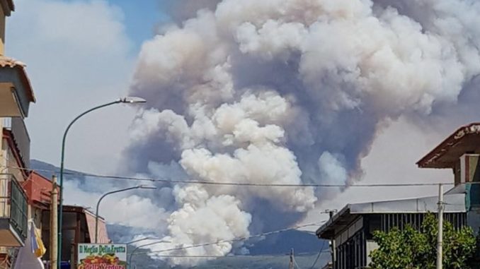 19965060_127384351195465_419531706_n