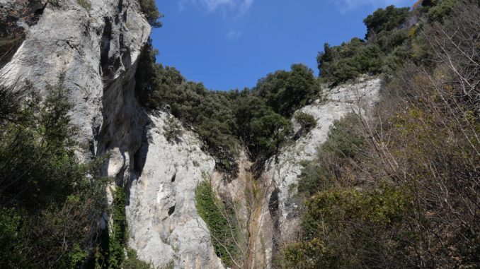 20017769_255571168273122_8344656911185765995_o (1)