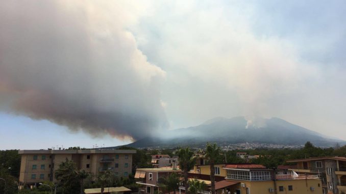 20049355_1506369276072605_98280516_o