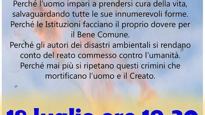 20068067_2019523548333899_2106756192_n