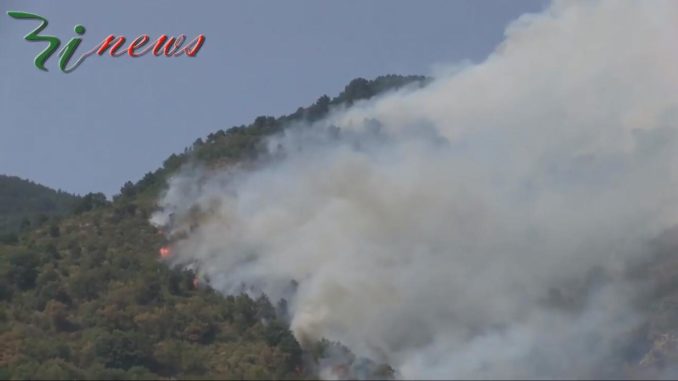 20216270_1513707072005492_199138552_o