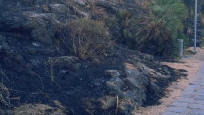 74de1c72-b322-4822-982c-d63c41f7d0e3_1200x499_0.5x0.5_1_crop