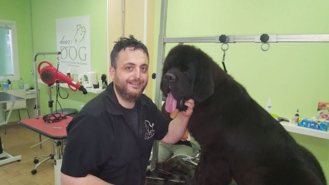 Cane Terranova Team Irpinia Montorese