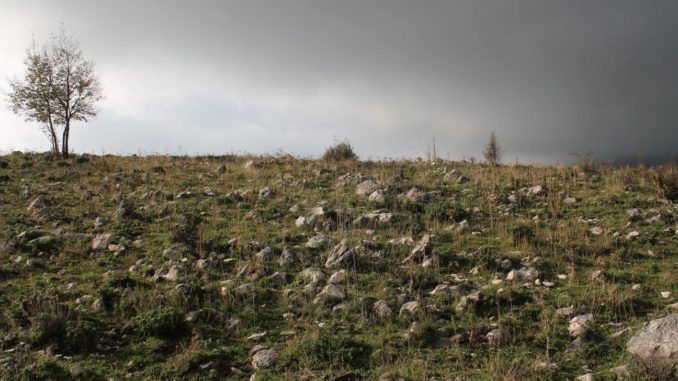 20863370_270282323468673_6647138826066379546_o