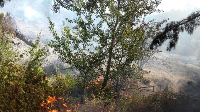 21037711_10214034269240104_1844794908_o