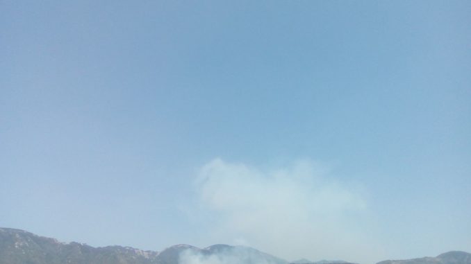 21055892_10211831899165365_4082671254689988367_o