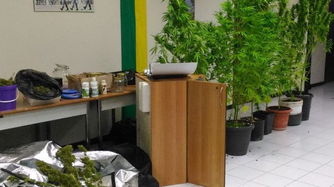 16003_P_20170905_132512