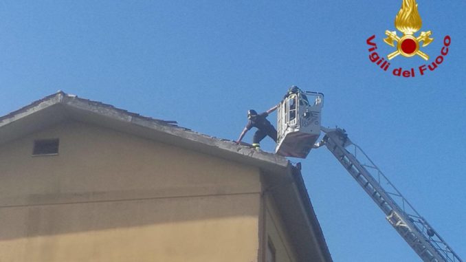 21755004_1564095406966658_1654777899_o