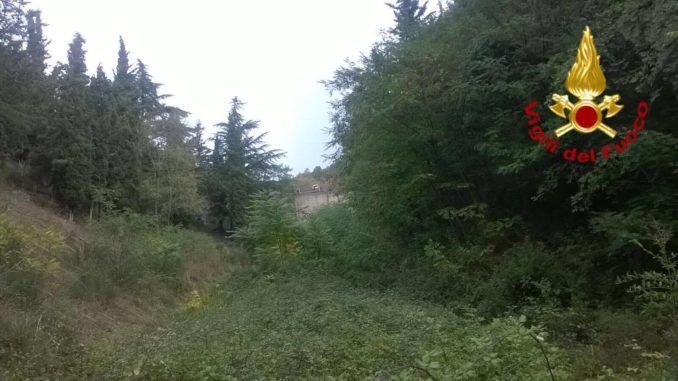 22068747_1578771535499045_1768310972_o