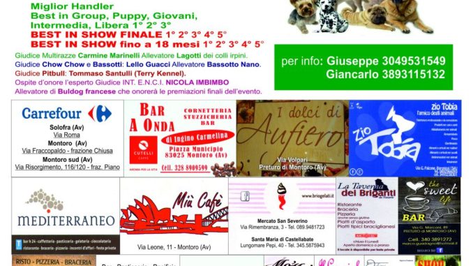 Locandina Concorso Cinofilo Amatoriale Montoro