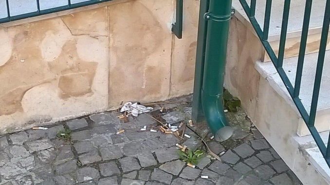 22343855_1587571287952403_1294242948_o