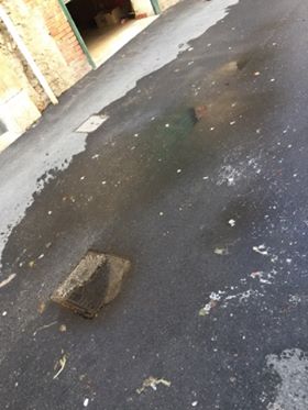 22835407_1691296767612100_1584939542_n