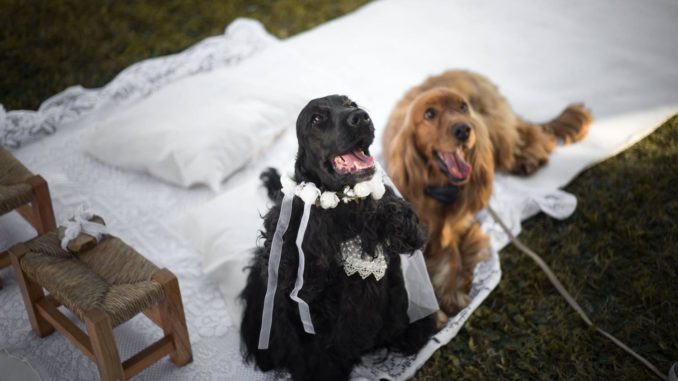 C_2_fotogallery_3083394_2_image