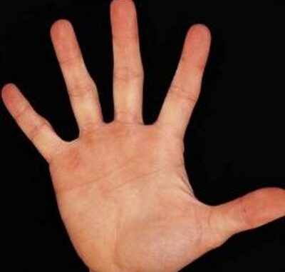 d2b84d0df51c6f7dd1ae7bdc58015d53_400x400