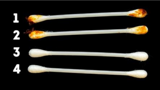 23658667_1973741169310332_6556622409857309505_n